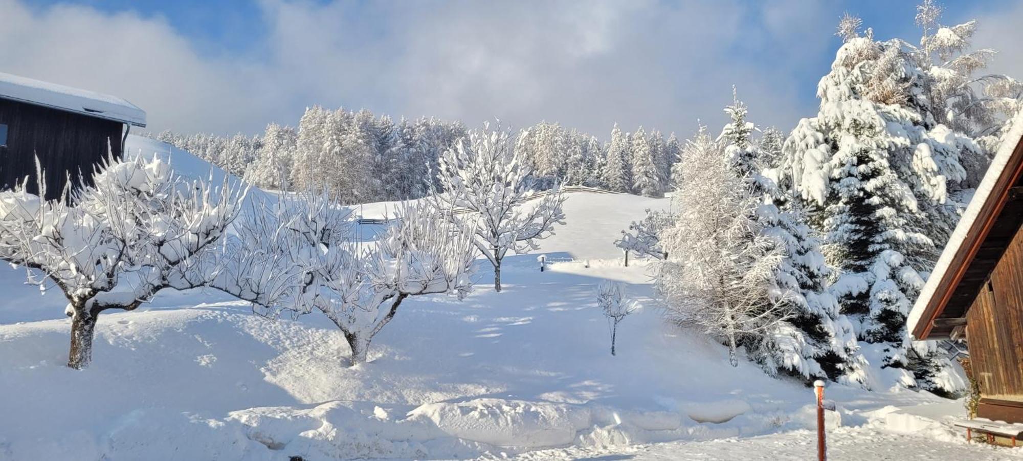 Ferienhaus Panorama Mutters Екстериор снимка